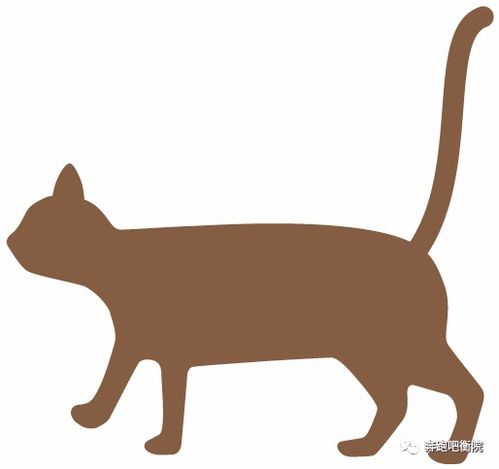 平面設計 視覺語言的魔法與藝術