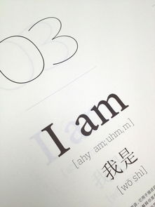 Neri Hu & 宣言 以平面設計重塑時代的視覺秩序